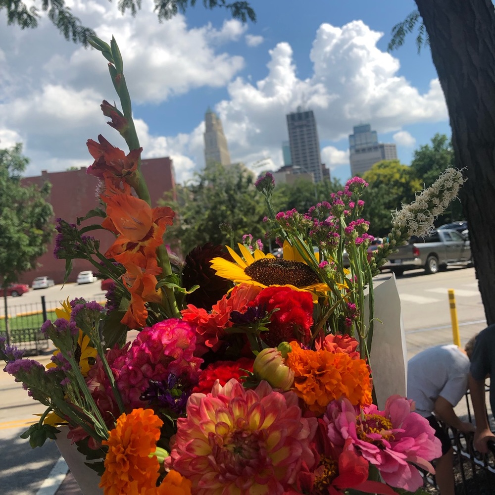 Meet your Posher, Maddie